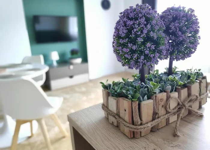 Apartament Karpaty