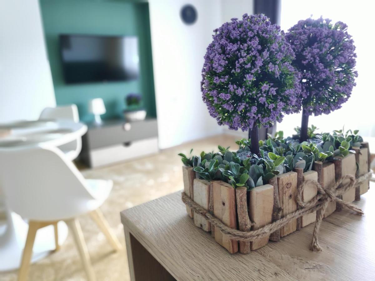 Karpaty Apartment